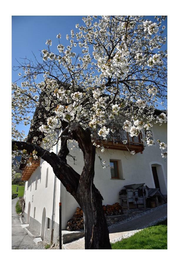 La Maison Abeil LʼArgentière-la-Bessée Esterno foto