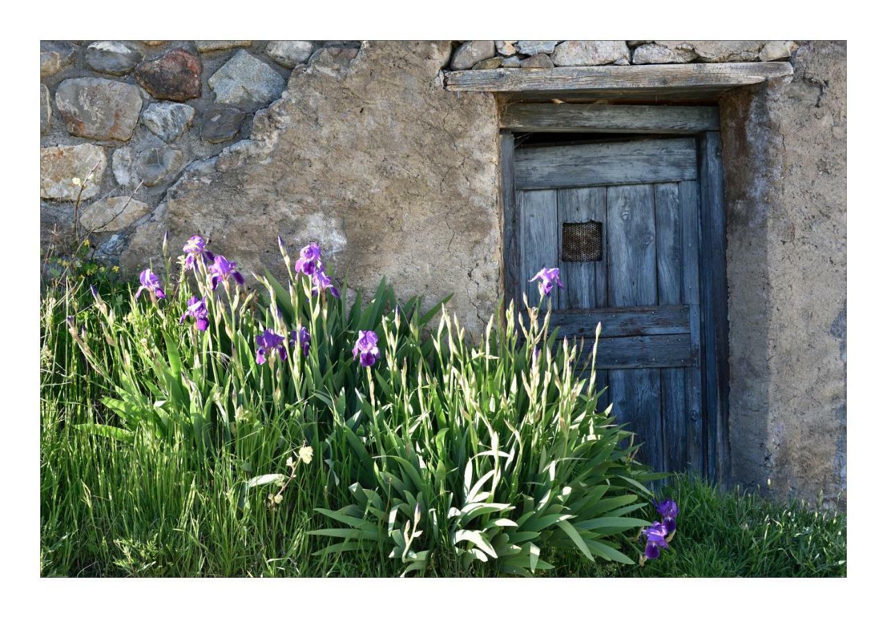 La Maison Abeil LʼArgentière-la-Bessée Esterno foto